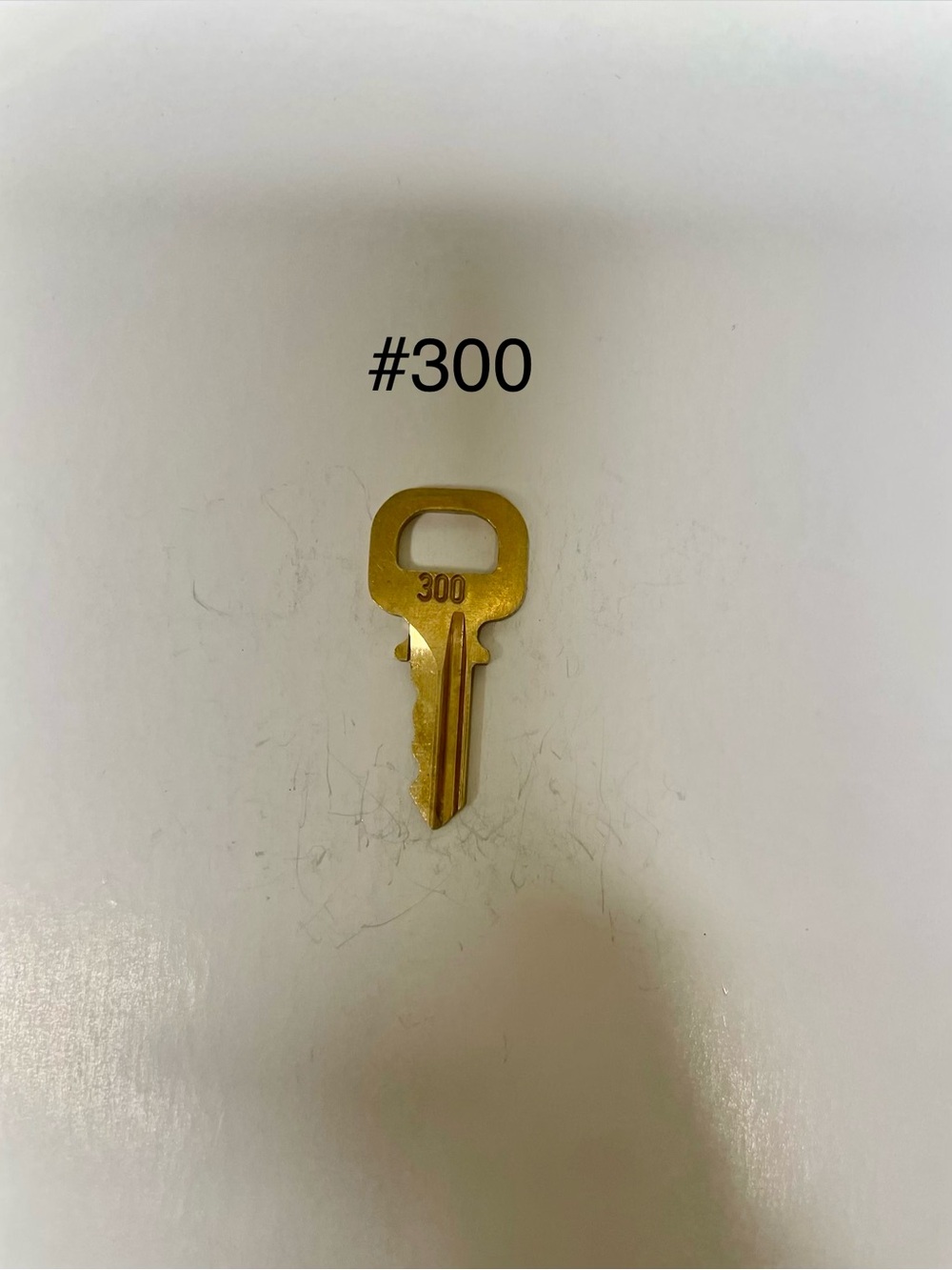 Louis Vuitton #300 Gold Spare Key